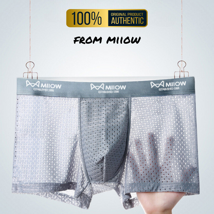 3Pcs Combo Premium Miiow Boxer Underwear