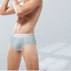 3 Pcs Combo Lanobruce Brief Underwear
